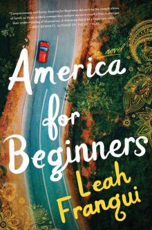America for Beginners Read online