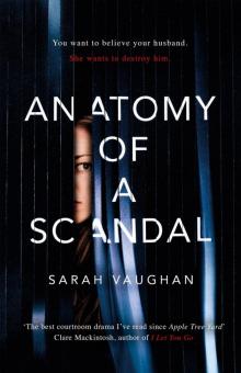 Anatomy of a Scandal Read online