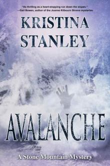 Avalanche (A Stone Mountain Mystery Book 3) Read online