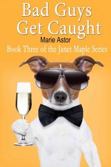 Bad Guys Get Caught (Book Three) (Janet Maple Series) Read online