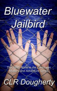 Bluewater Jailbird: The Tenth Novel in the Caribbean Mystery and Adventure Series (Bluewater Thrillers Book 10) Read online