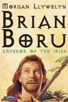 Brian Boru Read online