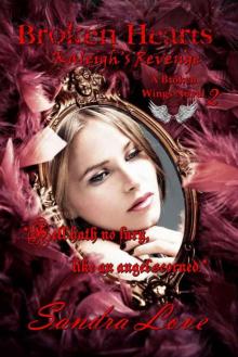 Broken Hearts: Kaleigh's Revenge (Broken Wings Series)