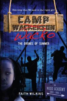 Camp Wacko: The Drones of Summer Read online