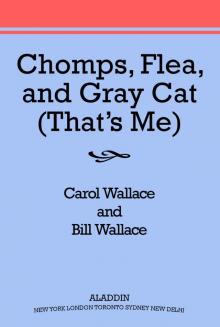 Chomps, Flea, and Gray Cat [That’s Me!]