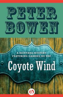 Coyote Wind Read online