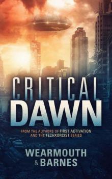 Critical Dawn Read online