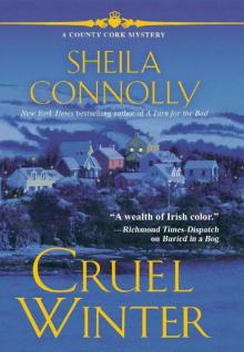 Cruel Winter: A County Cork Mystery Read online