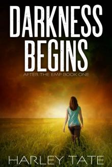 Darkness Begins: A Post-Apocalyptic Survival Thriller (After the EMP Book 1) Read online