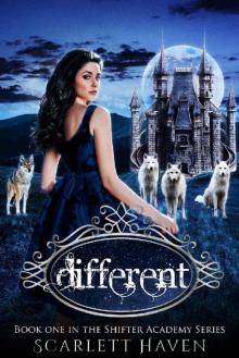 Different (Shifter Academy Book 1) Read online