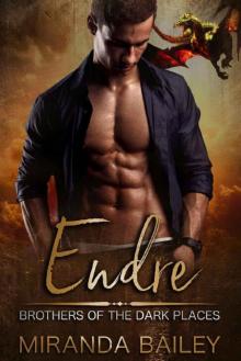 Endre: Brothers Of The Dark Places Read online