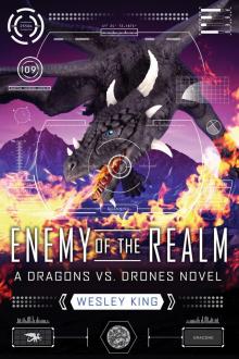 Enemy of the Realm Read online