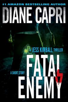 Fatal Enemy Read online