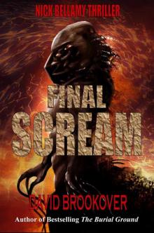 Final Scream Read online