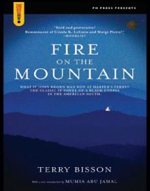 Fire on the Mountain Read online
