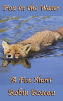 Fox in the Water (The Fox Shorts Book 2) Read online