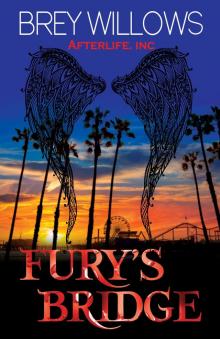Fury's Bridge Read online