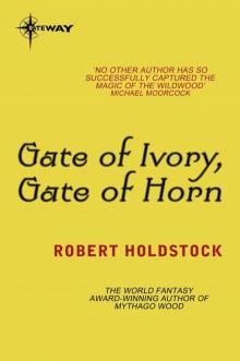 Gate of Ivory, Gate of Horn (Mythago Wood) Read online