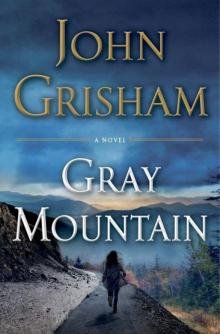 Gray Mountain: A Novel Read online