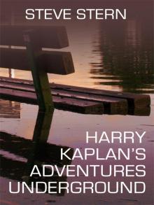 Harry Kaplan's Adventures Underground Read online