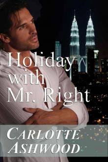 Holiday With Mr. Right