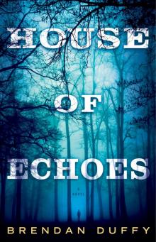 House of Echoes: A Novel