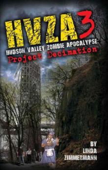 HVZA (Book 3): Hudson Valley Zombie Apocalypse [Project Decimation] Read online