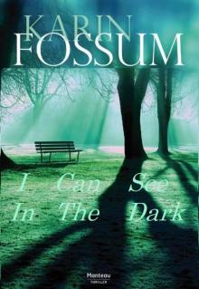 I Can See in the Dark (Karin Fossum) Read online
