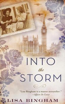 Into the Storm Read online