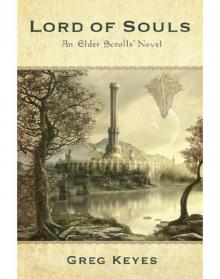 Lord of Souls: An Elder Scrolls Novel Read online