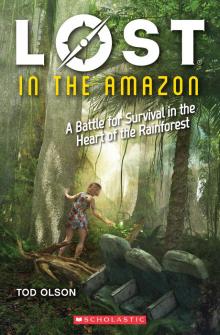 Lost in the Amazon Read online