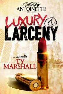 Luxury and Larceny, Part 1 Read online