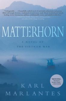 Matterhorn: a novel of the Vietnam War Read online