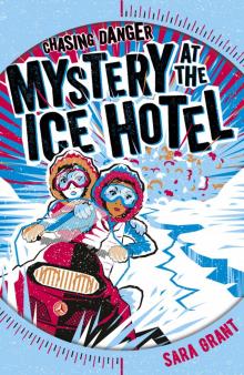 Mystery at the Ice Hotel Read online