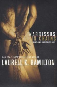 Narcissus in Chains ab-10