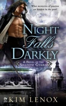 Night Falls Darkly Read online