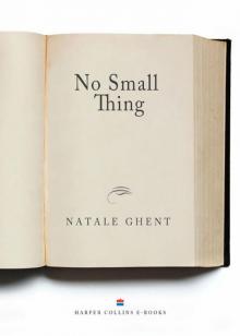 No Small Thing Read online