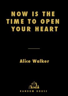 Now Is the Time to Open Your Heart Read online