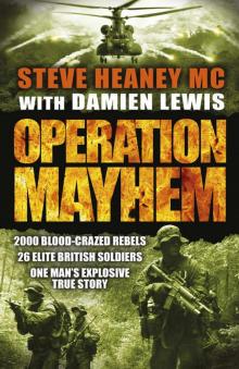 Operation Mayhem Read online