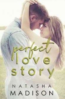 Perfect Love Story (Love Series Book 1)