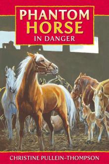 Phantom Horse 4: Phantom Horse in Danger