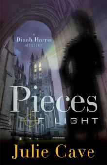 Pieces of Light Read online