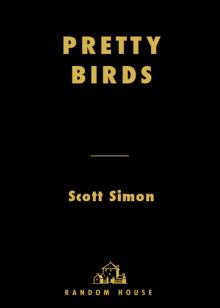 Pretty Birds Read online