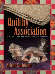 Quilt by Association Read online