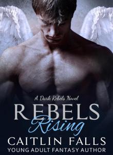 Rebels Rising (Dark Rebels, #1)