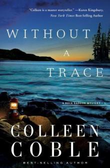 Rock Harbor Series - 01 - Without a Trace Read online