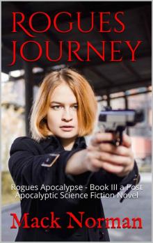 Rogues Journey Read online