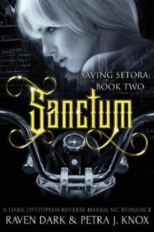 Sanctum: Saving Setora (Book Two) (Dark Dystopian Reverse Harem MC Romance) Read online