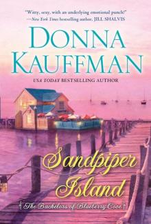 Sandpiper Island (The Bachelors Read online