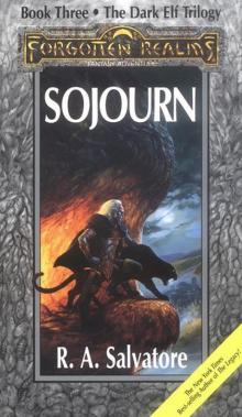 Sojourn - [Book 3 of the Dark Elf Trilogy] Read online